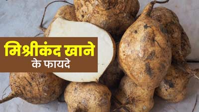 Mishrikand Benefits: मिश्रीकंद खाने से सेहत को मिलते हैं ये 5 फायदे, इस तरह करें डाइट में शामिल